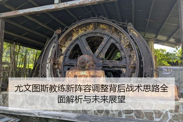 尤文图斯教练新阵容调整背后战术思路全面解析与未来展望